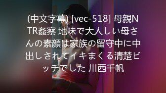 (中文字幕) [vec-518] 母親NTR姦察 地味で大人しい母さんの素顔は家族の留守中に中出しされてイキまくる清楚ビッチでした 川西千帆