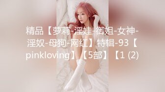 精品【萝莉-淫娃-御姐-女神-淫奴-母狗-网红】特辑-93【pinkloving】【5部】【1 (2)