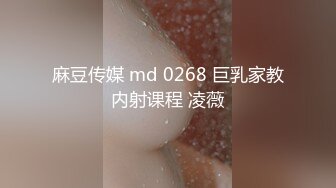 麻豆传媒 md 0268 巨乳家教内射课程 凌薇