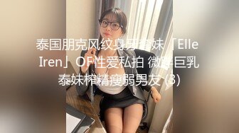 泰国朋克风纹身牙套妹「Elle Iren」OF性爱私拍 微胖巨乳泰妹榨精瘦弱男友 (3)