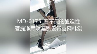 MD-0175_看不見的強迫性愛痴漢尾隨淫亂暴行官网韩棠