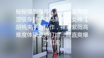 秘秘强烈推荐！高颜芭蕾舞姬顶级身材一字马舞蹈系女神【胡桃夹子】私作，裸舞紫薇高难度体操姿势打炮，简直爽爆了 (18)