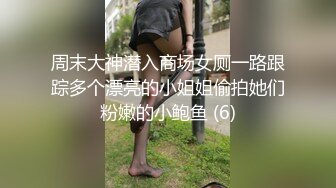 周末大神潜入商场女厕一路跟踪多个漂亮的小姐姐偷拍她们粉嫩的小鲍鱼 (6)