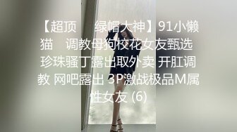 【超顶❤️绿帽大神】91小懒猫✨ 调教母狗校花女友甄选 珍珠骚丁露出取外卖 开肛调教 网吧露出 3P激战极品M属性女友 (6)