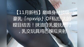 【11月新档】巅峰身材顶级豪乳「npxvip」OF私拍 大的瞠目结舌！抹油巨乳爱抚拍打，乳交玩具鸡巴模拟夹射