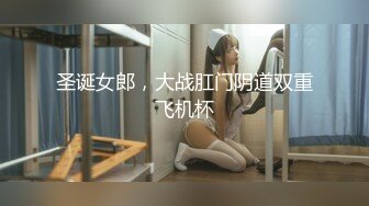 圣诞女郎，大战肛门阴道双重飞机杯