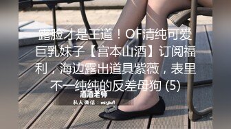 露脸才是王道！OF清纯可爱巨乳妹子【宫本山酒】订阅福利，海边露出道具紫薇，表里不一纯纯的反差母狗 (5)