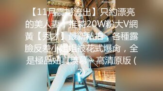 【11月震撼流出】只約漂亮的美人妻，推特20W粉大V網黃【秀才】最新私拍，各種露臉反差小姐姐被花式爆肏，全是極品妞真羨慕～高清原版 (2)