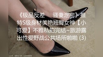 《极品反差㊙️骚妻泄密》推特S级身材美艳翘臀女神【小可爱】不雅私拍完结~旅游露出性爱野战公共场所啪啪 (3)