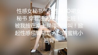 性感女秘书气质性感LO裙女秘书 穿着油亮丝袜来上班！被我按在桌上操得嗷嗷叫！掀起性感包臀裙后入她的蜜桃小翘臀