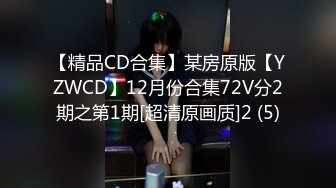 【精品CD合集】某房原版【YZWCD】12月份合集72V分2期之第1期[超清原画质]2 (5)