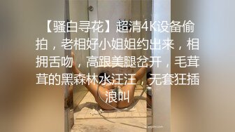 【骚白寻花】超清4K设备偷拍，老相好小姐姐约出来，相拥舌吻，高跟美腿岔开，毛茸茸的黑森林水汪汪，无套狂插浪叫