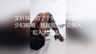 文轩探花约了个肉肉身材蓝衣少妇啪啪，翘起屁股口交侧入后入大力猛操