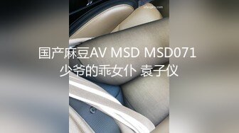 国产麻豆AV MSD MSD071 少爷的乖女仆 袁子仪