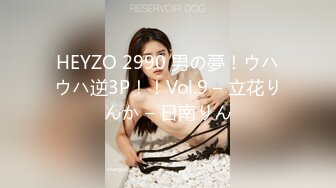 HEYZO 2990 男の夢！ウハウハ逆3P！！Vol.9 – 立花りんか – 日南りん