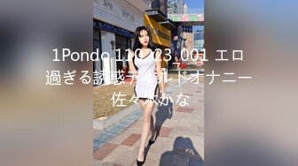 1Pondo 110223_001 エロ過ぎる誘惑ディルドオナニー 佐々木かな