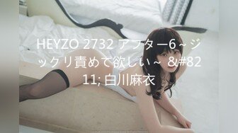 HEYZO 2732 アフター6～ジックリ責めて欲しい～ &#8211; 白川麻衣