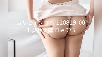 カリビアンコム 110819-001 女熱大陸 File.075