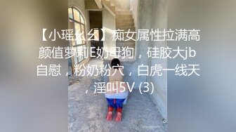 【小瑶幺幺】痴女属性拉满高颜值萝莉E奶母狗，硅胶大jb自慰，粉奶粉穴，白虎一线天，淫叫5V (3)